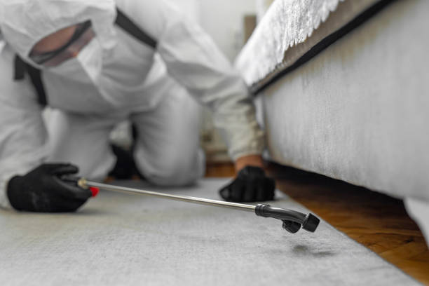Professional Termite Control technician working in Manteo, NC